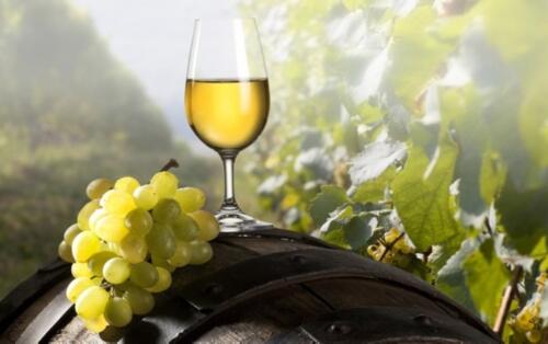 PINOT GRIGIO/ G