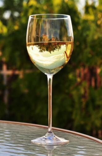 CHARDONNAY/G