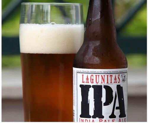 LAGUNITAS IPA ( PITCHER )