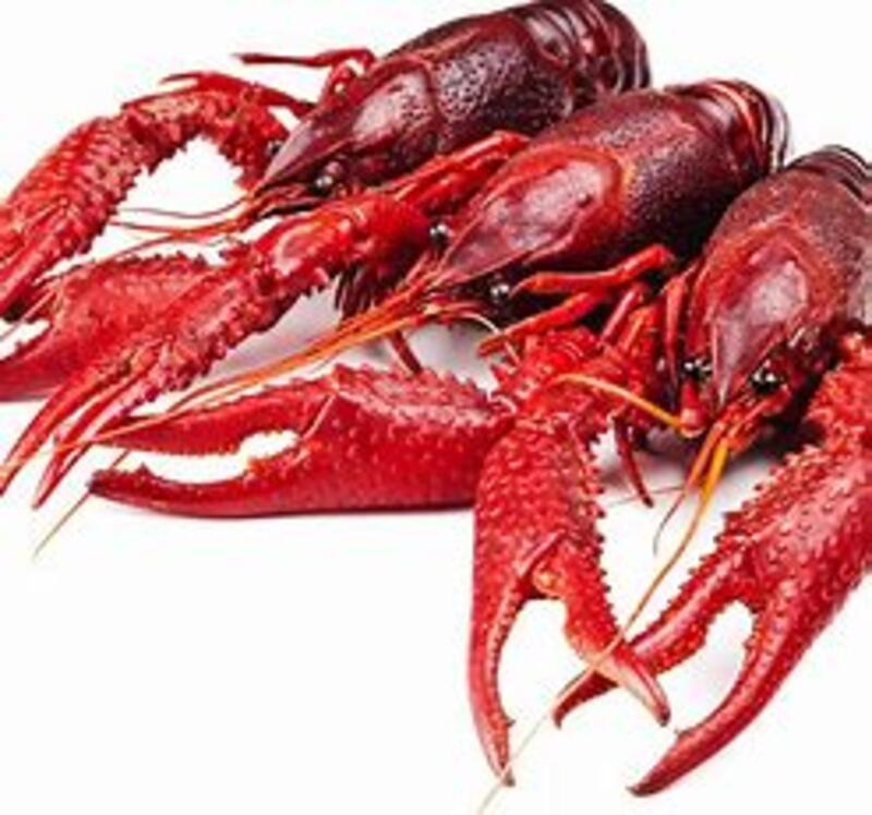 Live Crawfish